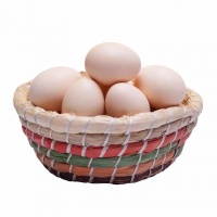 农家鸡蛋15KG.30斤